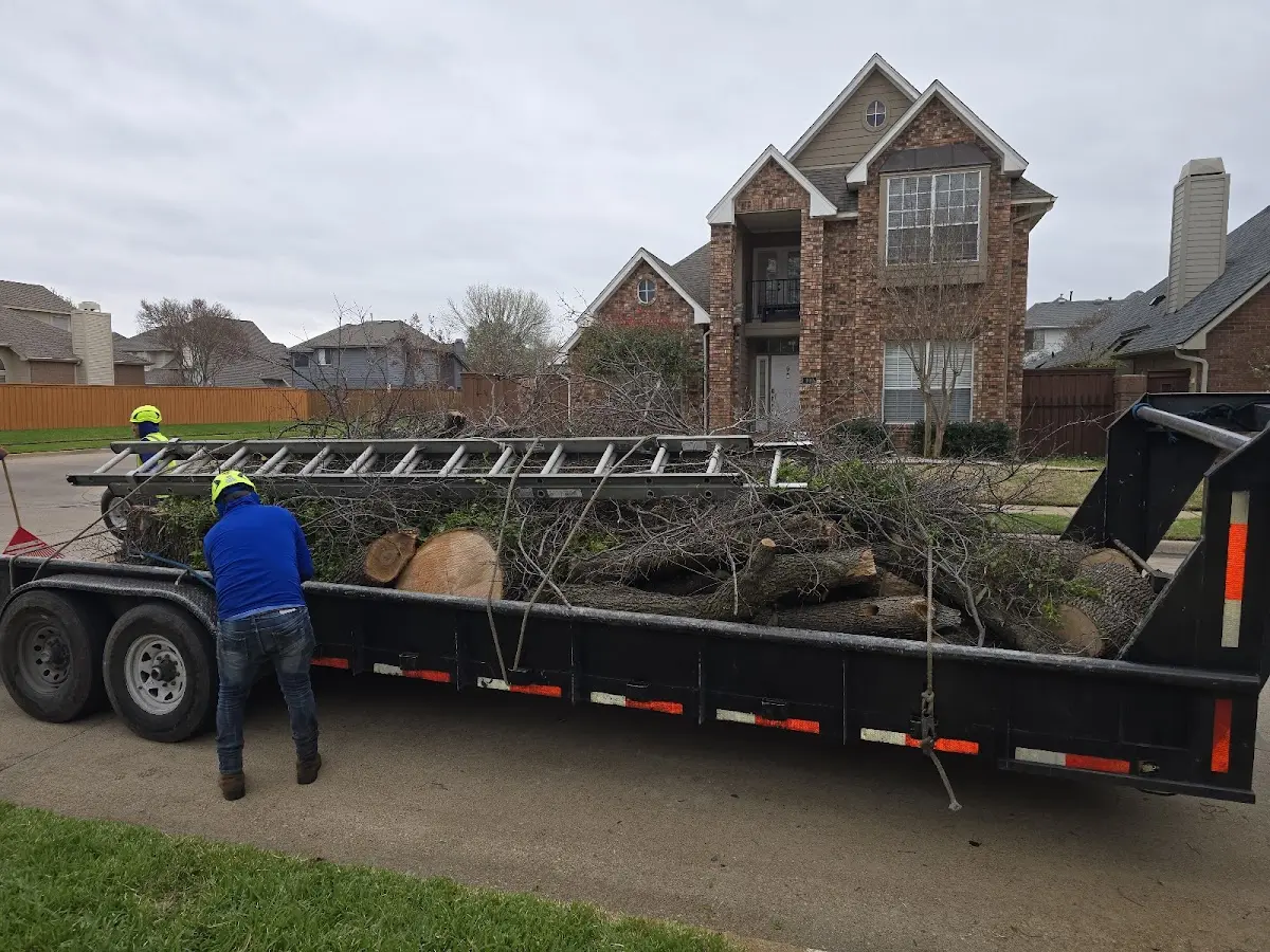 Expert Tree Removal with proper safety equipment in Urich